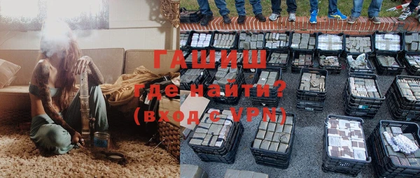 сатива Горняк