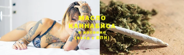 сатива Горняк