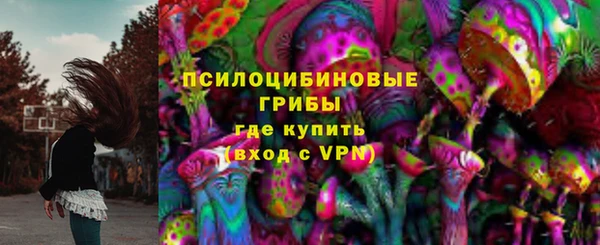 сатива Горняк