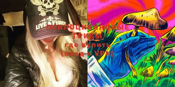 сатива Горняк