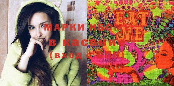 сатива Горняк